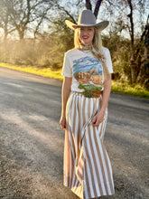 The segway skirt
