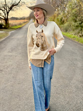 The Heavenly horse sweater