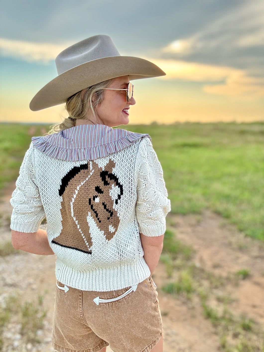 The Lucky Pony sweater
