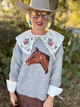 The Elite equine sweater~ 2 colors
