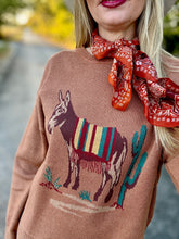 The Donkey Dory sweater