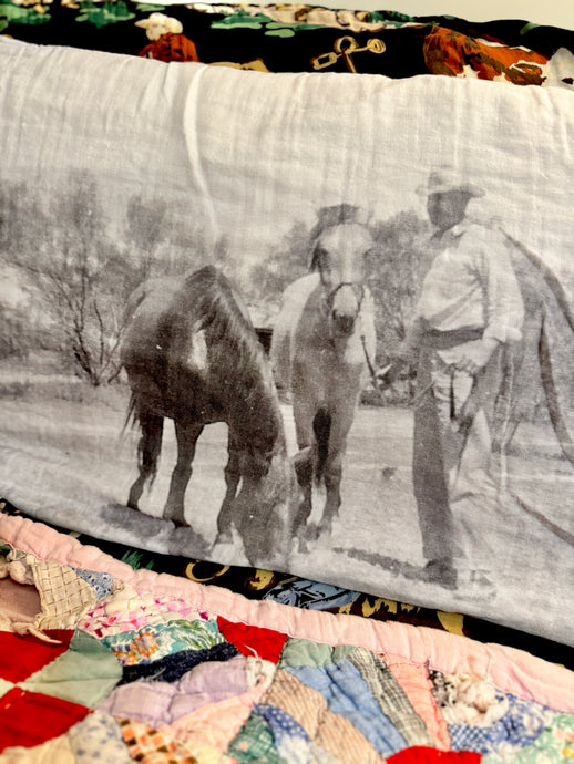 Pick a Pony pillow Sham set