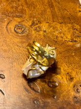 The prickly pearl pieces