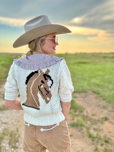 The Lucky Pony sweater