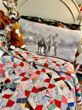 Pick a Pony pillow Sham set