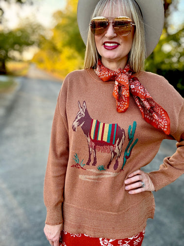 The Donkey Dory sweater