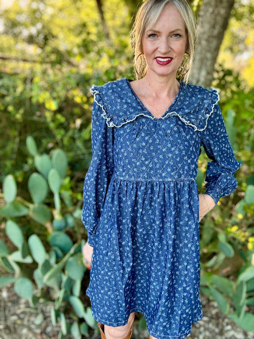 The Ditzy Daisy denim dress
