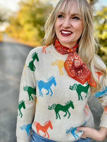 The Happy Horse sweater