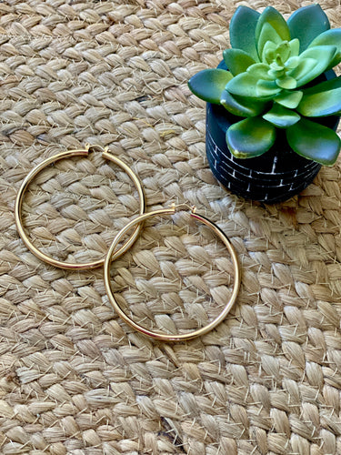 The Foxy hoops