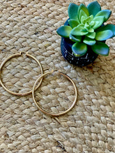 The Foxy hoops