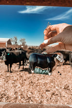 A very western Christmas ornaments